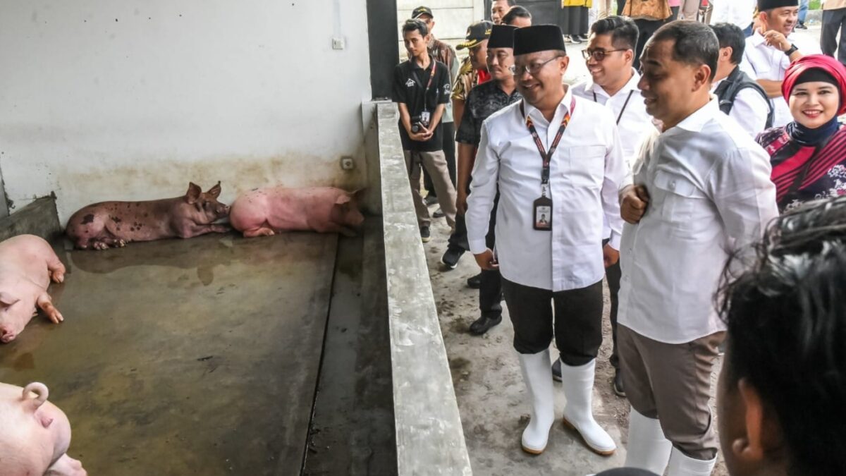 Pemkot Surabaya resmikan RPH Khusus Babi, target pemotongan meningkat